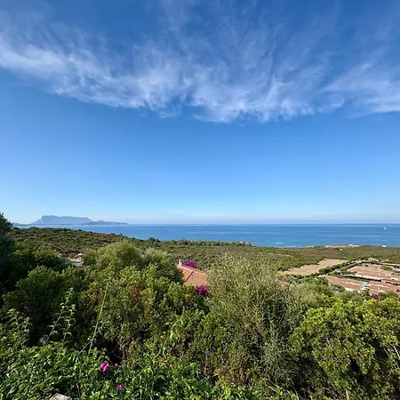 Perla Di Costa Caddu San Teodoro (Sardinia)